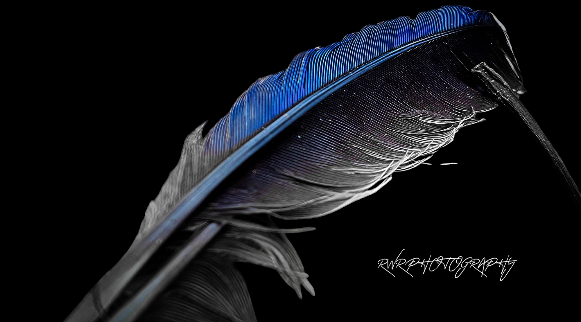 Russell W Rines Photography